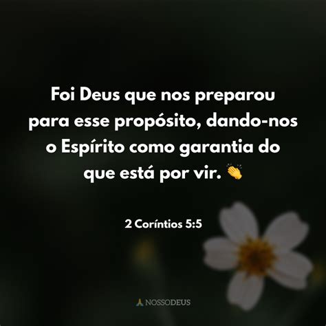 Frases B Blicas De Agradecimento Para Glorificar A Deus