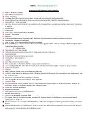 Ob Exam Docx Ob Exam Revised By Nghi Quach Anatomy Fetal