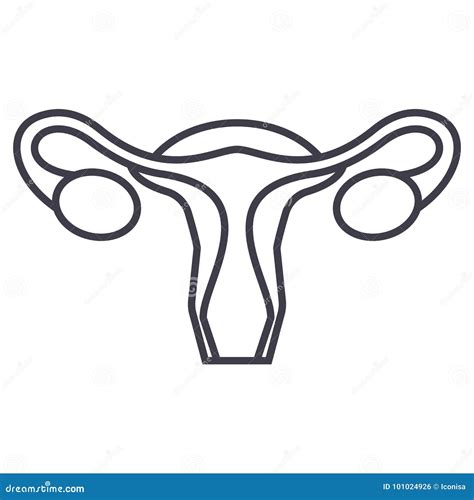 Uterus Female Gynecology Vector Line Icon Sign Illustration On