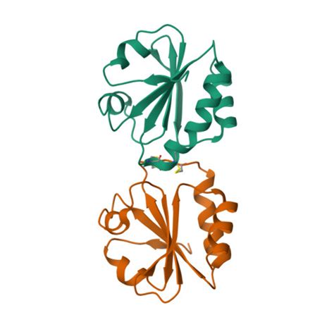 RCSB PDB 1ZCP Crystal Structure Of A Catalytic Site Mutant E Coli