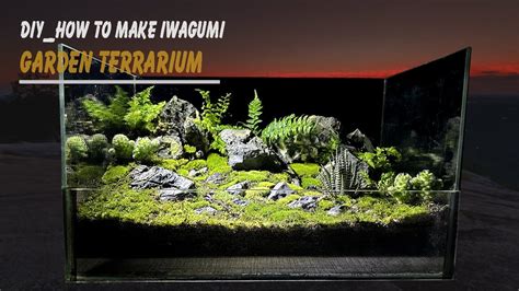 Making Iwagumi Garden With Seiyu Stone Moss And Small Plants Terrarium