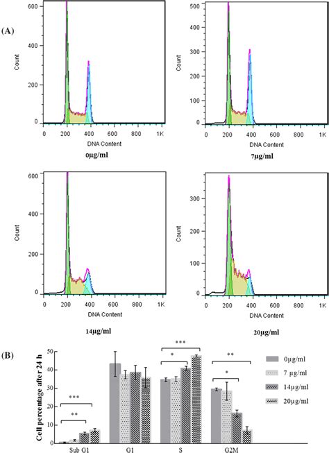 Cell Cycle Analysis By Pi Staining A The Percentage Of Cells In