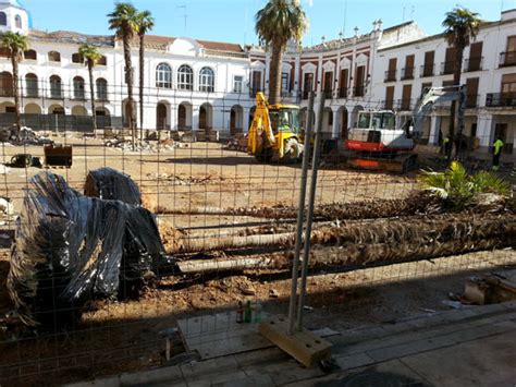 Trasplantan Los Nueve Palmitos De La Plaza De La Constituci N De