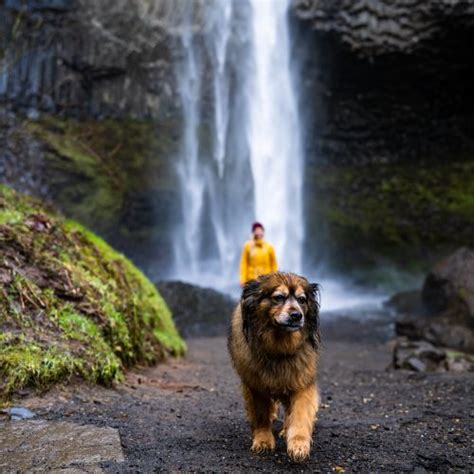 8 Incredible Waterfalls in Oregon to Add to Your Bucket List! - Made to Explore