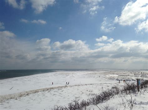 Cape Cod Winter Mary Richmonds Cape Cod Art And Nature