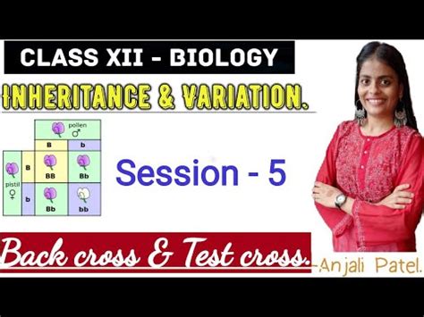 Class Xii Biology Inheritance And Variation Back Cross And Test