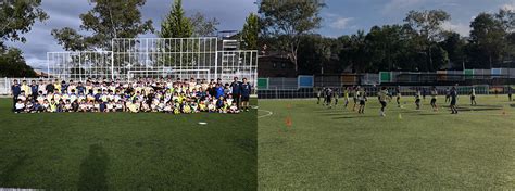 Escuela De Fútbol Del Club América Nido Águila Ajusco Los Nidos