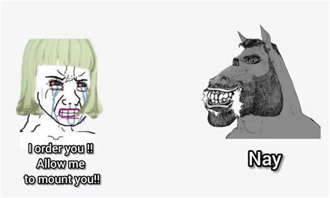 Pin by 🌌Eliza on Berserk | Man humor, Memes, Funny memes