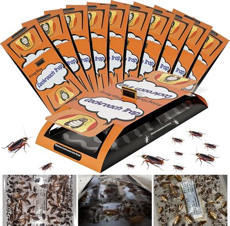 Stingmon 18 Pack Roach Killer Indoor Infestation Cockroach Killer