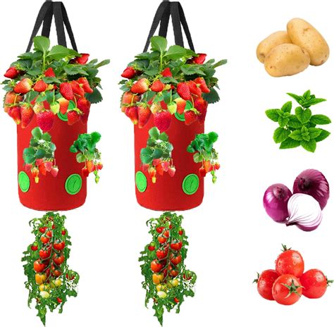 Amazon Miewslan 2 Packs Upside Down Planter Garden Hanging