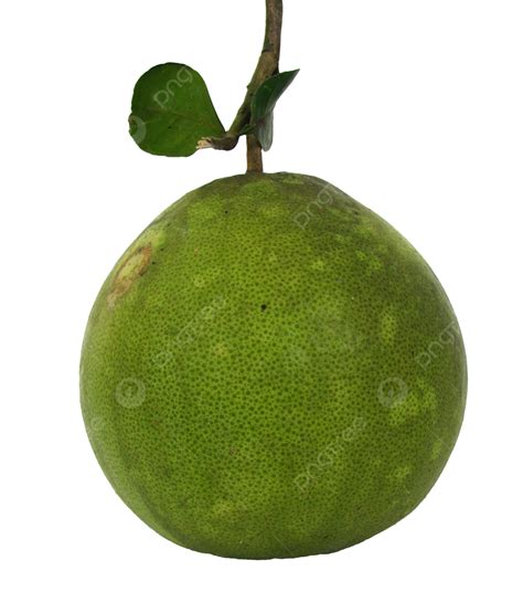 Green Pomelo On White Background Background Vitamin Green Tropical