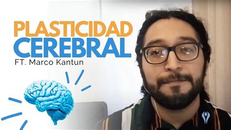 La Plasticidad Cerebral Y La Rehabilitaci N Neurocognitiva Youtube