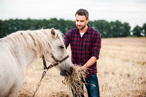 Man To Feed The Horse Stock Photo Free Download