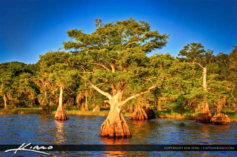 Blue Cypress Lake Indian River County Florida | HDR Photography by ...