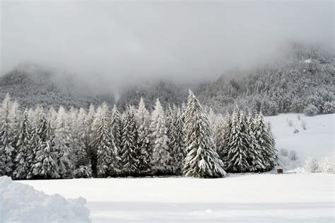 Pueblos Que Te Pagan Por Vivir En Austria 2024 PueblosBonitos