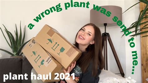 Plant Haul Unboxing First Time Ordering Plants Online Houseplant