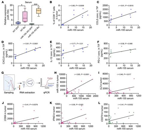 JCI Breast Cancer Cellderived MicroRNA 155 Suppresses Tumor