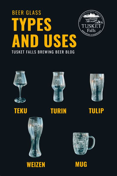 Beer Glass Types and Uses: 5 Glasses to Compliment Your Beer - Tusket Falls Brewing