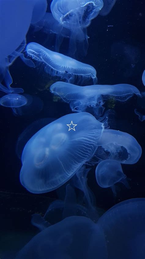 Aesthetic Moon Jellyfish Ocean Deep Sea Core Iphone Wallpaper Photos