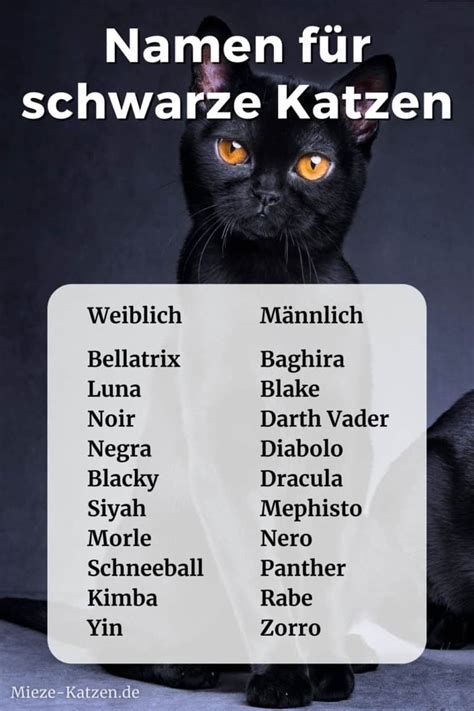 Namen F R Schwarze Katzen Weiblich Und M Nnlich