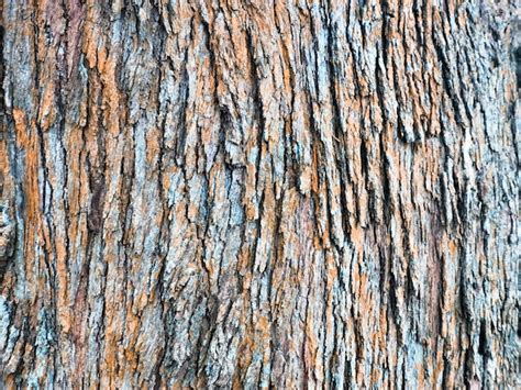 Premium Photo Close Up Image Bark Pattern Seamless Texture From A Tree