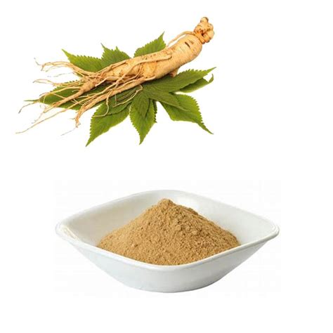 American Ginseng Extract Total Ginsenosides 10 Uv Hongda Online