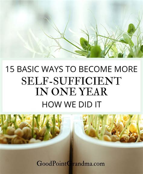 15 Basic Ways To Become More Self Sufficient In One Year How We Did It