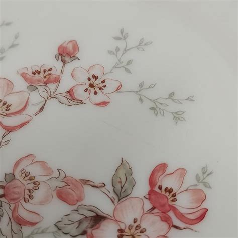 Assiettes Plates Arcopal Mod Le Florentine Fleurs De Cerisier