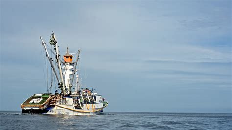 Images Of Pelagic Purse Seiner Tuna Fishing Vessel Fv Atun Sta