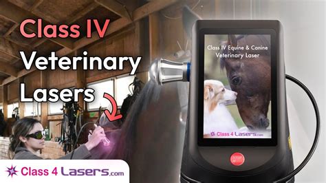 Class 4 Veterinary Lasers Veterinary Laser Equipment YouTube