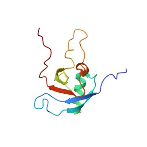 Rcsb Pdb Jph Nmr Solution Structure Of The Rho Gtpase Binding