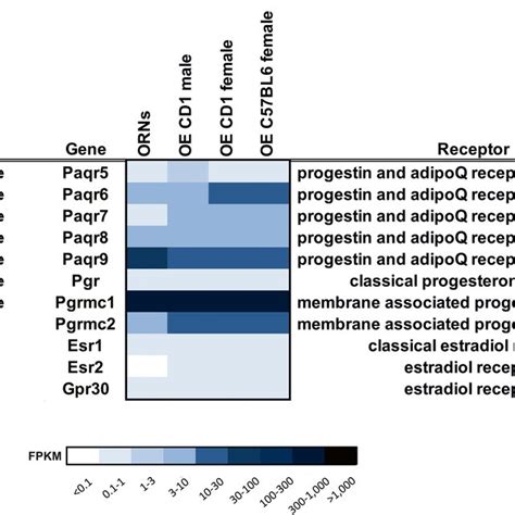 Expression Level Of Steroid Receptors Detected By Rna Seq Heat Map