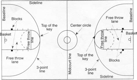 Everything Basketball Court Diagram