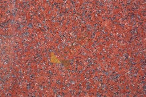 Imperial Red Granite Stone Form Big Slabs Thickness 20 Mm At Rs 80