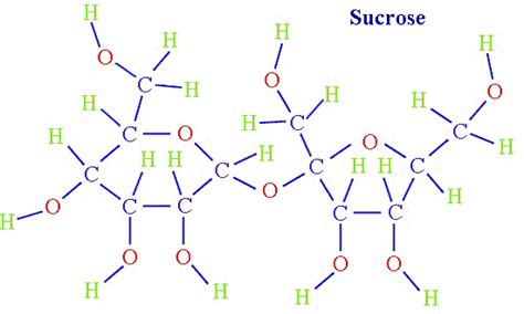 Sucrose Meetmymolecule