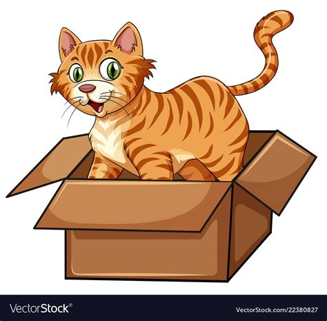 A Cat In The Box Royalty Free Vector Image Vectorstock