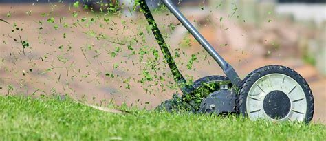 Lawn Move On A Green Grass With Grass Pieces In Air Free Image Download