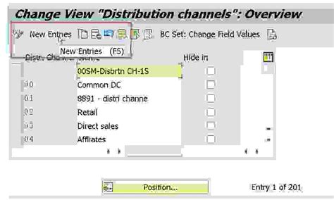 How To Define And Assign Distribution Channel In Sap