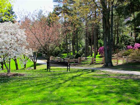 Brueckner Rhododendron Gardens: Rhododendron Gardens Tour Date May 23 ~ Rhodos, Azaleas ...