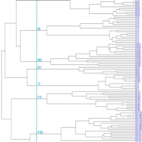 Upgma Dendrogram Of Genetic Similarity Based On The Scot Data Generated