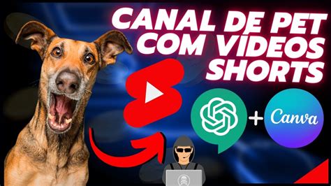 Como Criar V Deos Shorts Para Canal Dark De Pets Utilizando Chatgpt E Canva