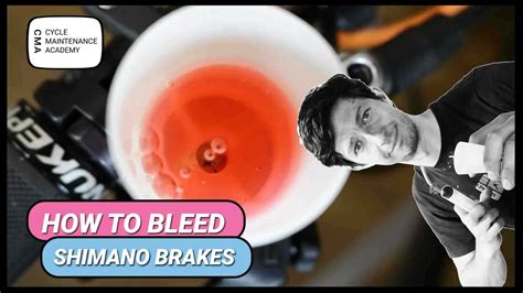 How To Bleed Shimano Brakes Cycle Maintenance Academy