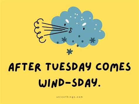 55 Best Wind Puns That Are Enough To Blow You Away