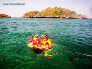 Giant Clams (Taklobo) w/ School of Fish - Hundred Islands