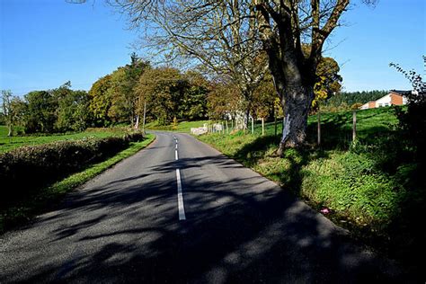 Tree Shadows Along Ballymagowan Road Kenneth Allen Geograph Ireland