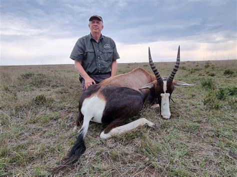 Hunting Bontebok In South Africa Game 4 Africa Hunting Safaris