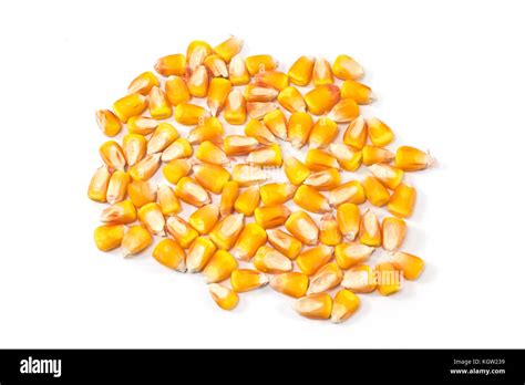 Hybrid Corn Seed Pile Isolated On White Background Stock Photo Alamy