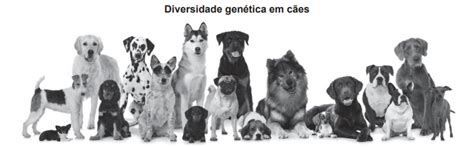 Blog de Biologia Questão Ciências da Natureza O tipo de reprodução