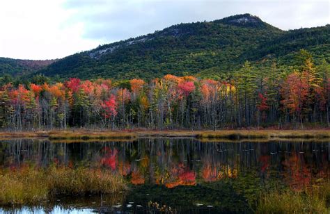 Pudding Pond Reflection Stanley Zimny Thank You For Million Views