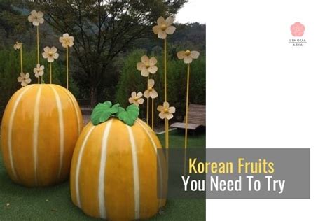 16 Must Try Korean Fruits And Why They Make A Great T